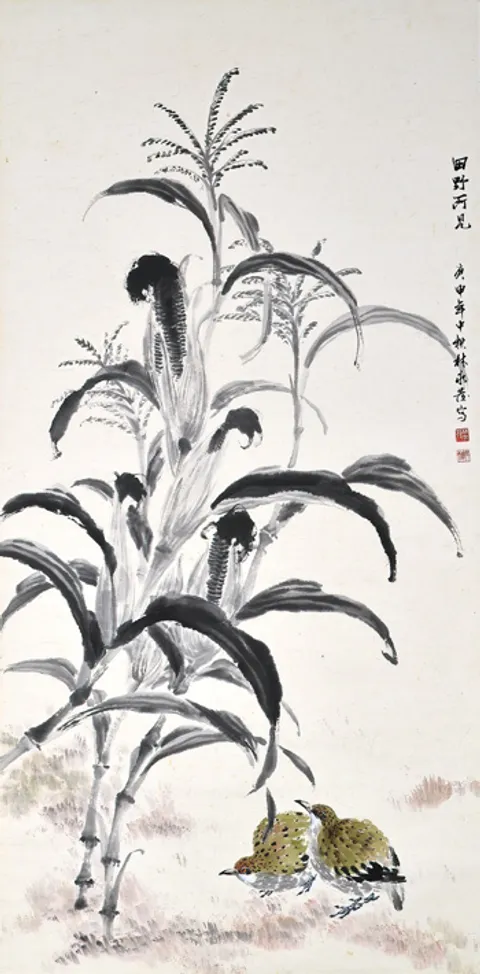 Maize and Quails