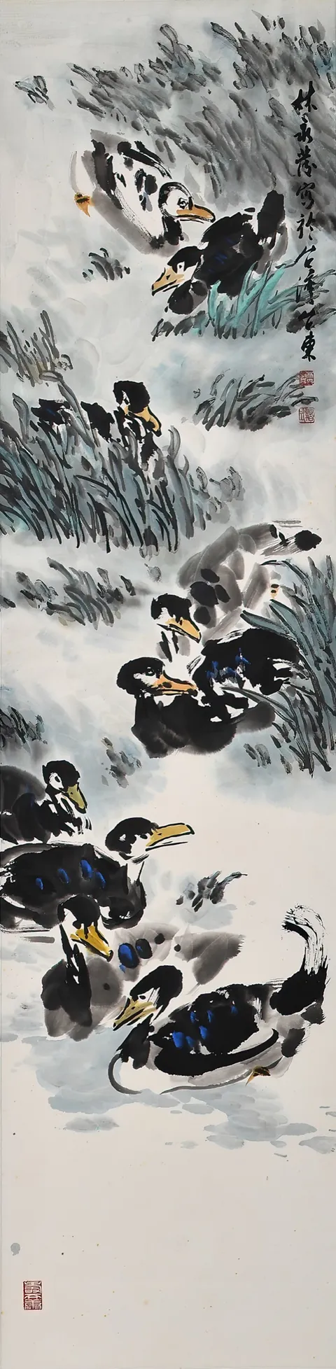 Ducks